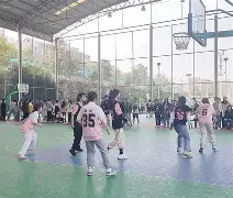 IM电竞体育平台-cba的篮球比赛