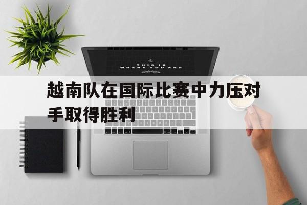 IM电竞app下载-越南队赛后